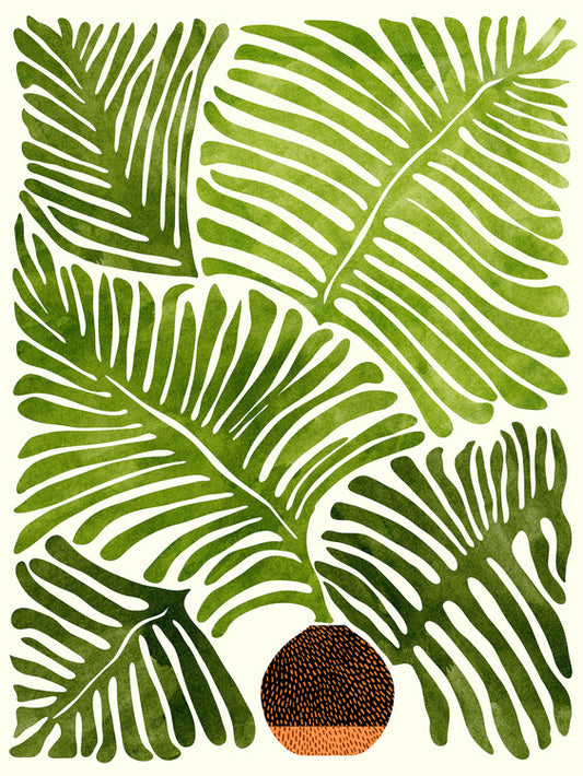 Leinwand Poster, Bilder Kristian Gallagher - Summer Fern, 60 × 80 cm