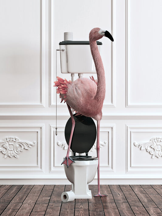 Leinwand Poster, Bilder Animals in Bathtubs,Flamingo Photo, Flamingo Art, 60 × 80 cm