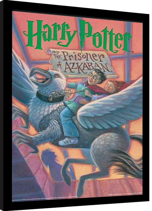 Harry Potter - The Prisoner of Azkaban Book Gerahmte Poster, Bilder, 34.3 × 44.5 cm