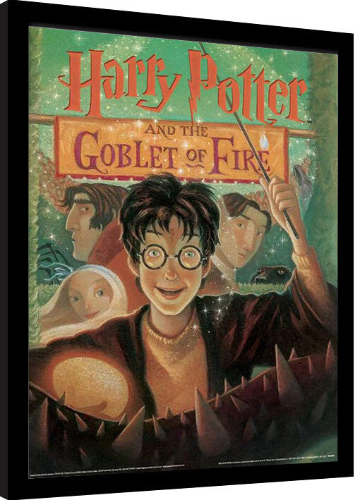 Harry Potter - The Goblet of Fire Book Gerahmte Poster, Bilder, 34.3 × 44.5 cm