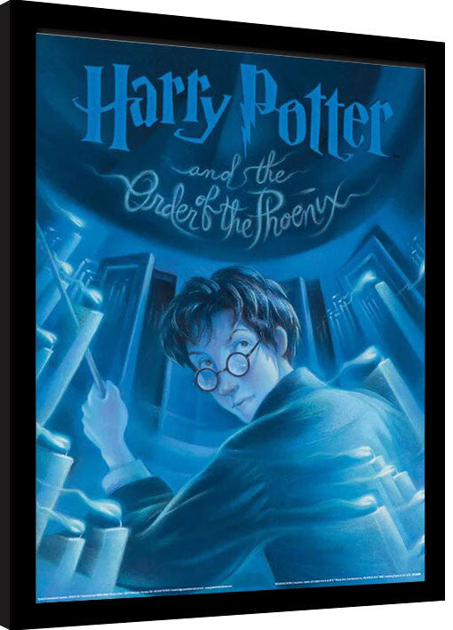 Harry Potter - The Order od the Phoenix Book Gerahmte Poster, Bilder, 34.3 × 44.5 cm