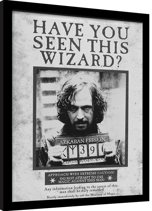 Harry Potter - Sirius Wanted Gerahmte Poster, Bilder, 30 × 40 cm
