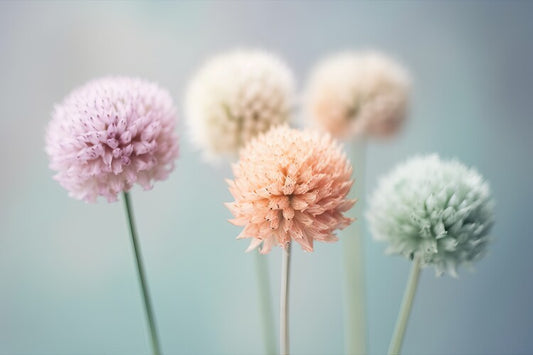 Leinwand Poster, Bilder Macro photography of a pastel colored flowers, 90 × 60 cm