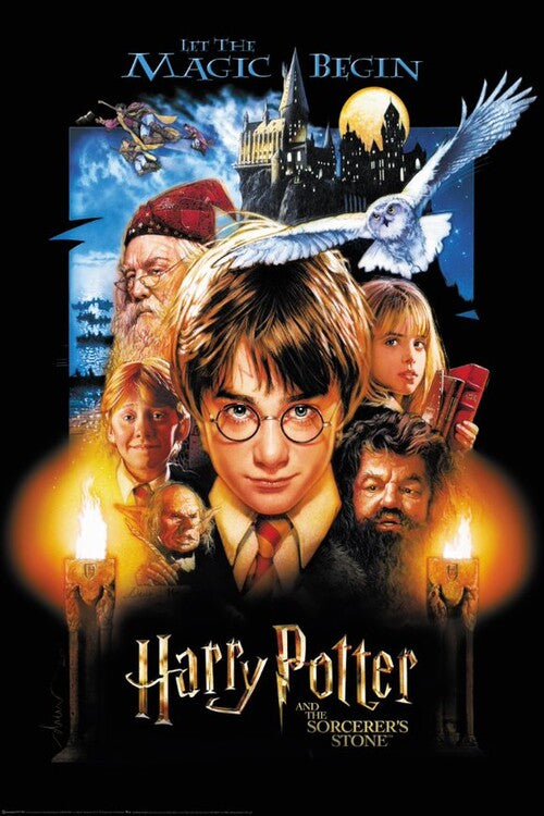 Harry Potter - Philosopher Stone Poster, Plakat, 80 × 120 cm