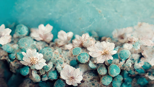 Leinwand Poster, Bilder Turquoise Buds, Treechild, 90 × 50 cm