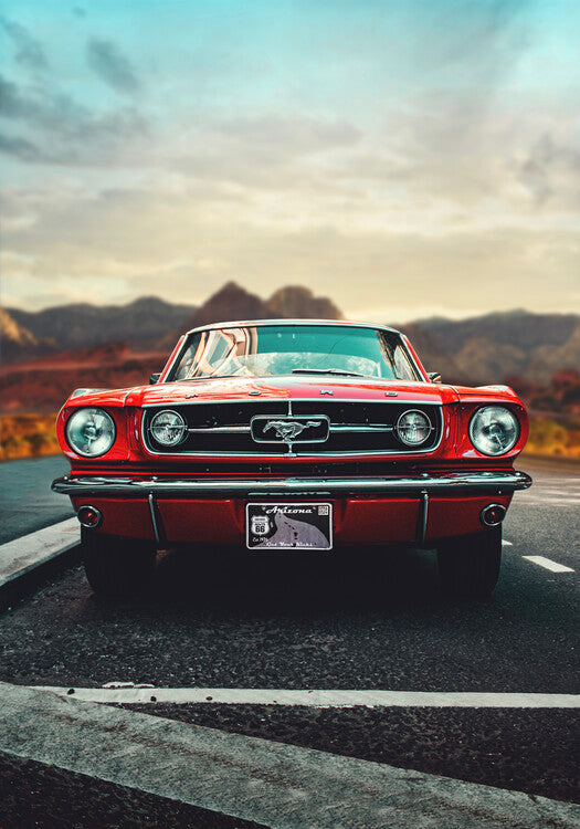 Leinwand Poster, Bilder Mustang Love, Fadil Roze, 70 × 100 cm