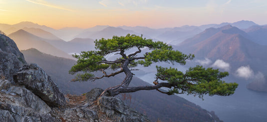 Leinwand Poster, Bilder When the Day Breaks, Jaeyoun Ryu, 100 × 45 cm
