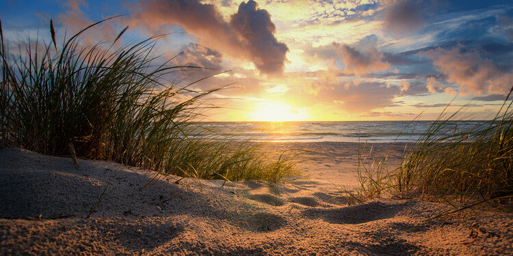 Leinwand Poster, Bilder Dream Summer, 90 × 45 cm