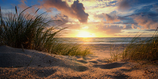 Leinwand Poster, Bilder Dream Summer, 90 × 45 cm
