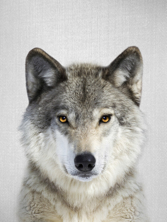 Leinwand Poster, Bilder Wolf, 60 × 80 cm