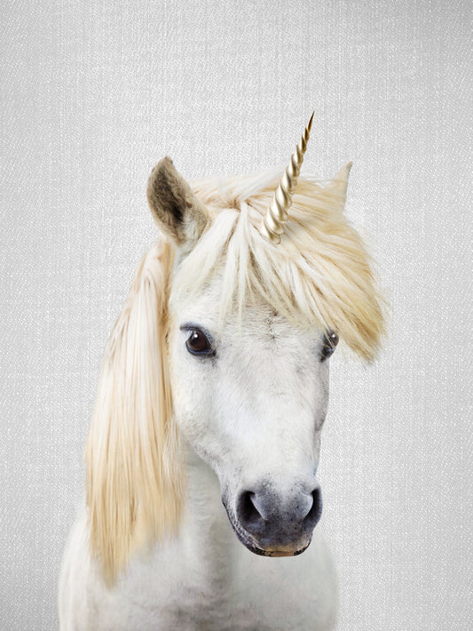 Leinwand Poster, Bilder Unicorn, 60 × 80 cm
