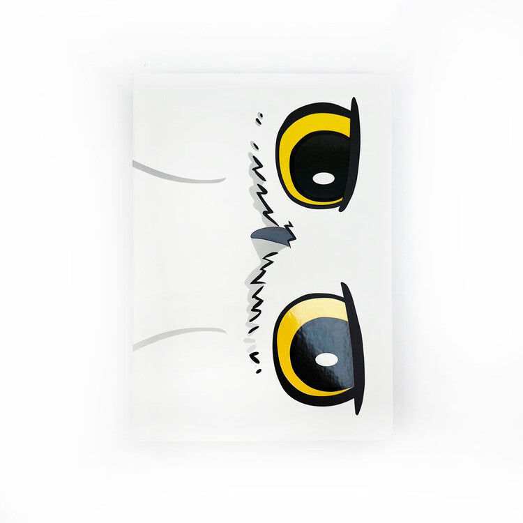 Notizbuch Harry Potter - Hedwig, A5
