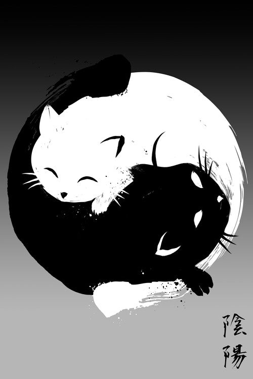 Leinwand Poster, Bilder Yin Yang cats, 60 × 90 cm