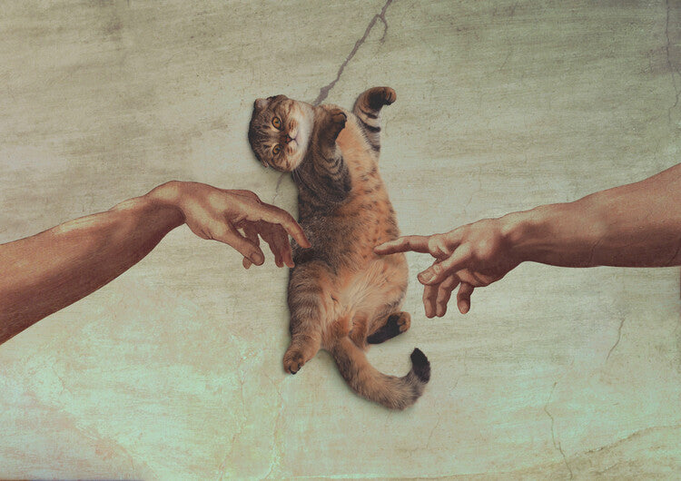 Leinwand Poster, Bilder Touch of the Kitty, Artem Pozdniakov, 90 × 65 cm