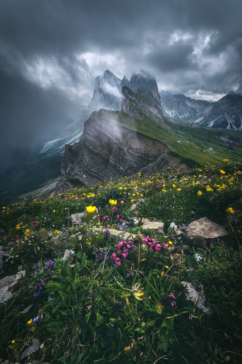 Leinwand Poster, Bilder Dolomites - Seceda 2500, Jean Claude Castor, 60 × 90 cm
