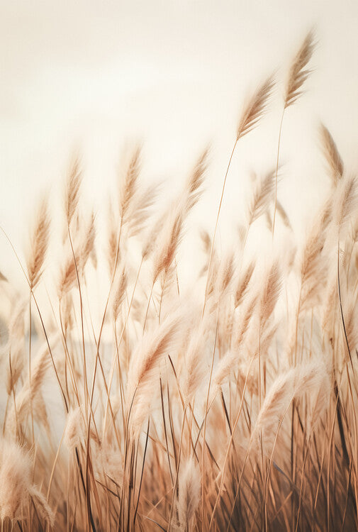 Leinwand Poster, Bilder Boho Grass, 60 × 90 cm