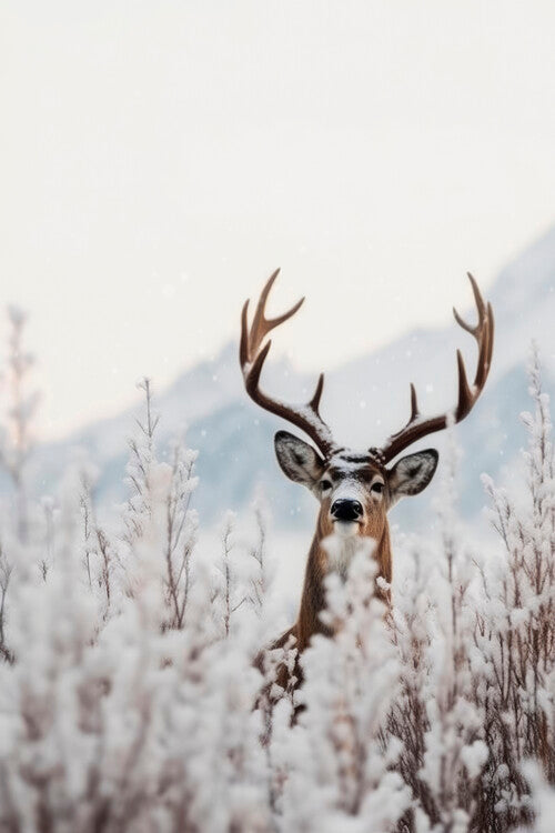 Leinwand Poster, Bilder Curious Deer, Treechild, 60 × 90 cm