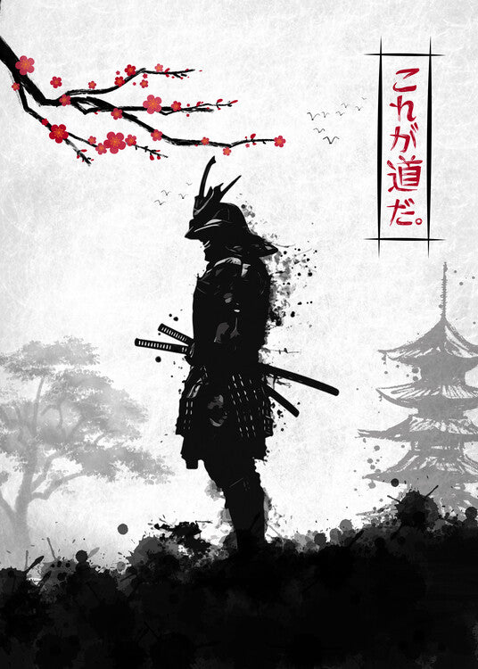 Leinwand Poster, Bilder The Last Samurai, 65 × 90 cm