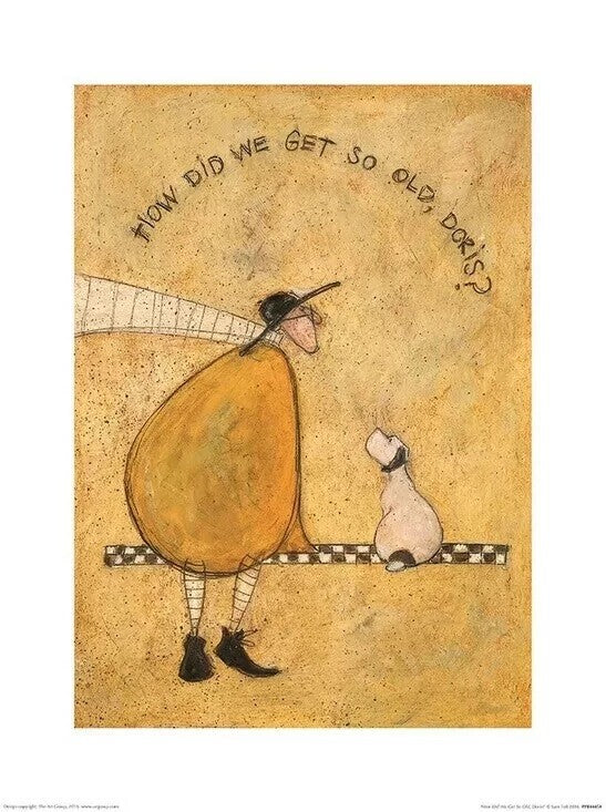 Kunstdruck Sam Toft - How Did We Get So Old, Doris?, 30 × 40 cm