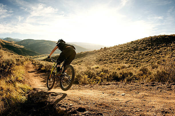 Leinwand Poster, Bilder Woman flying on a downhill mountain bike., Daniel Milchev, 90 × 60 cm