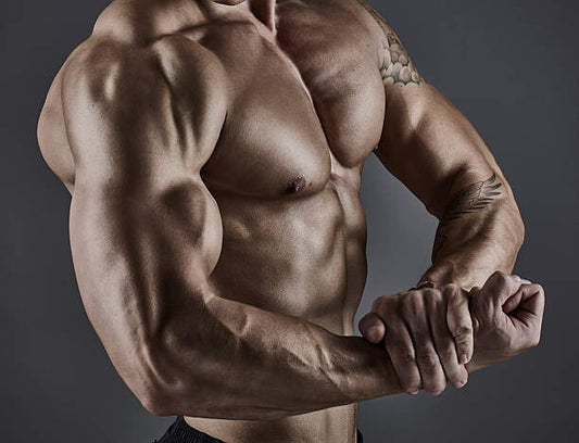 Leinwand Poster, Bilder Portrait of muscular male bodybuilder., Mike Harrington, 90 × 70 cm