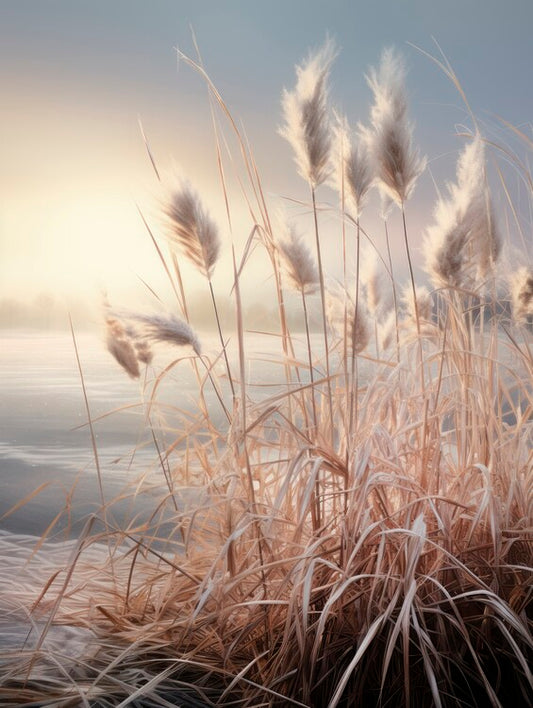 Leinwand Poster, Bilder Pampas grass dune, 60 × 80 cm
