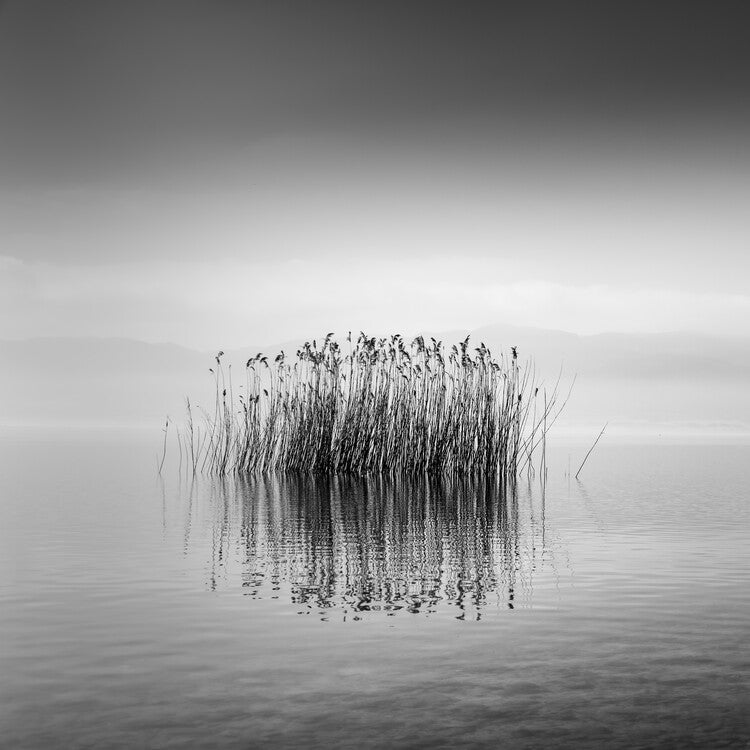 Leinwand Poster, Bilder Black and White Silence, George Digalakis, 70 × 70 cm