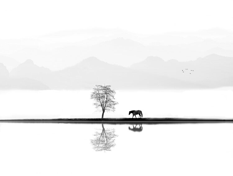 Leinwand Poster, Bilder Quiet Moment, Ivan Huang, 80 × 60 cm