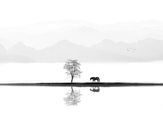 Leinwand Poster, Bilder Quiet Moment, Ivan Huang, 80 × 60 cm