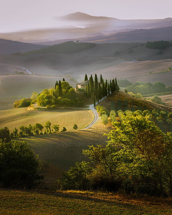 Leinwand Poster, Bilder Spring, Wim Denijs, 70 × 90 cm