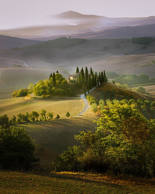 Leinwand Poster, Bilder Spring, Wim Denijs, 70 × 90 cm