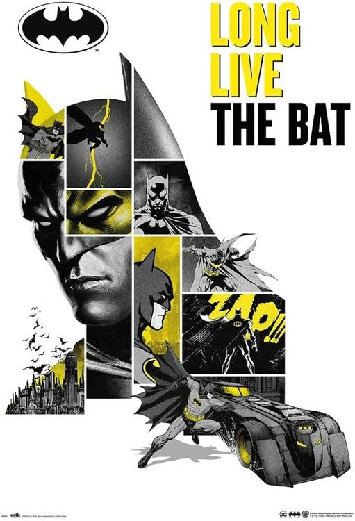 Batman - 80th Anniversary Poster, Plakat, 61 × 91.5 cm