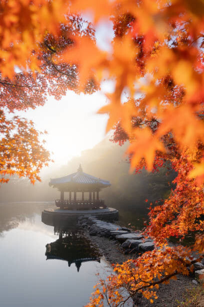 Leinwand Poster, Bilder Beautiful Autumn scene of Naejangsan national, Twenty47studio, 60 × 90 cm