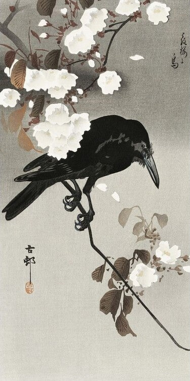 Kunstdruck Crow And Cherry Blossom, Ohara Koson, 20 × 40 cm