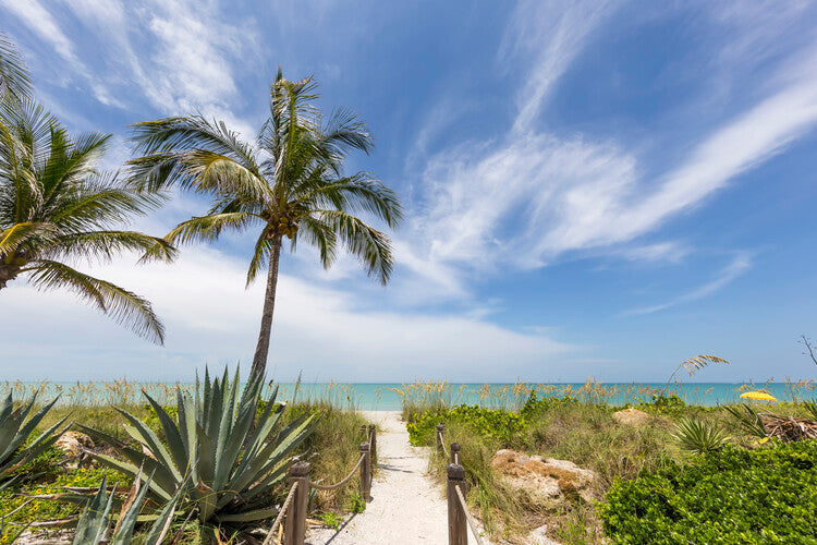 Leinwand Poster, Bilder Idyllic path to the beach, 90 × 60 cm