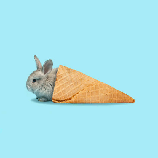 Leinwand Poster, Bilder Adorable Easter bunny isolated on blue, master1305, 70 × 70 cm