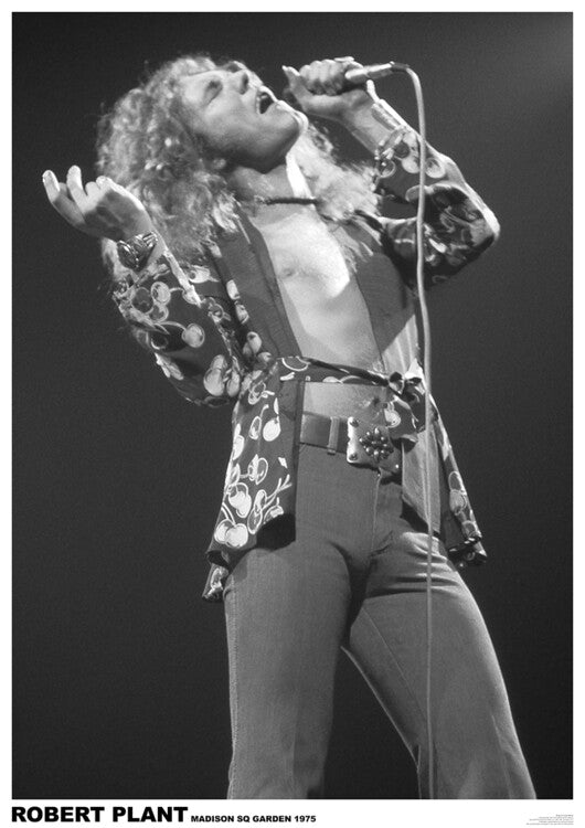 Led Zeppelin - Robert Plant March 1975 (colour) Poster, Plakat, 59.4 × 84.1 cm