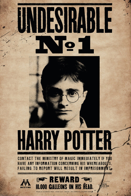 Harry Potter - Undersirable No.1 Poster, Plakat, 61 × 91.5 cm