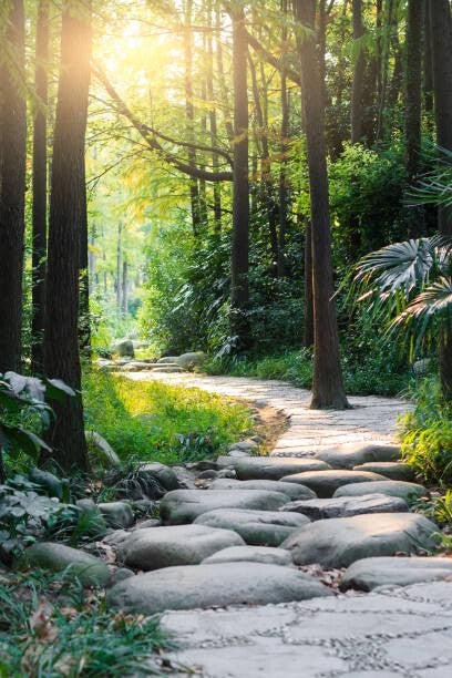 Leinwand Poster, Bilder Stone road in magic forest leads to haze of light, MarsYu, 60 × 90 cm