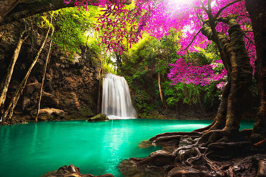 Leinwand Poster, Bilder Waterfall in autumn forest, Busakorn Pongparnit, 90 × 60 cm