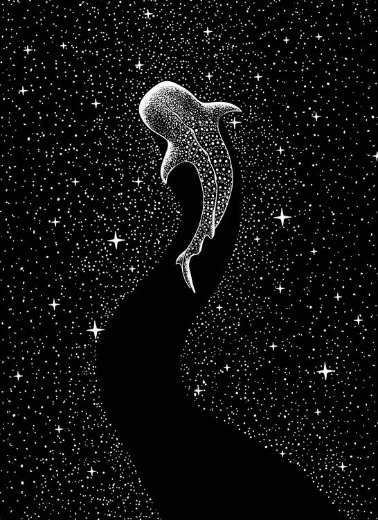Leinwand Poster, Bilder Star Eater Square, Aliriza Cakir, 65 × 90 cm