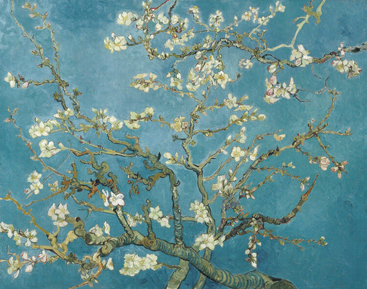 Mandelblüten, Vincent van Gogh Poster, Plakat, 40 × 30 cm