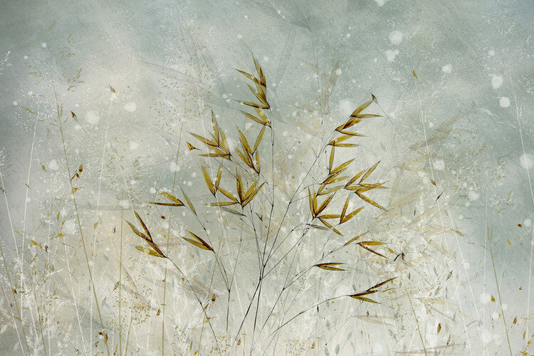Leinwand Poster, Bilder Wintertime, Nel Talen, 90 × 60 cm