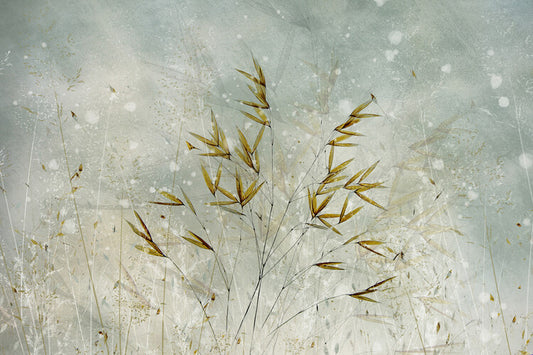Leinwand Poster, Bilder Wintertime, Nel Talen, 90 × 60 cm