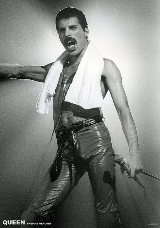 Queen (Freddie Mercury) - Live On Stage Poster, Plakat, 59.4 × 84.1 cm