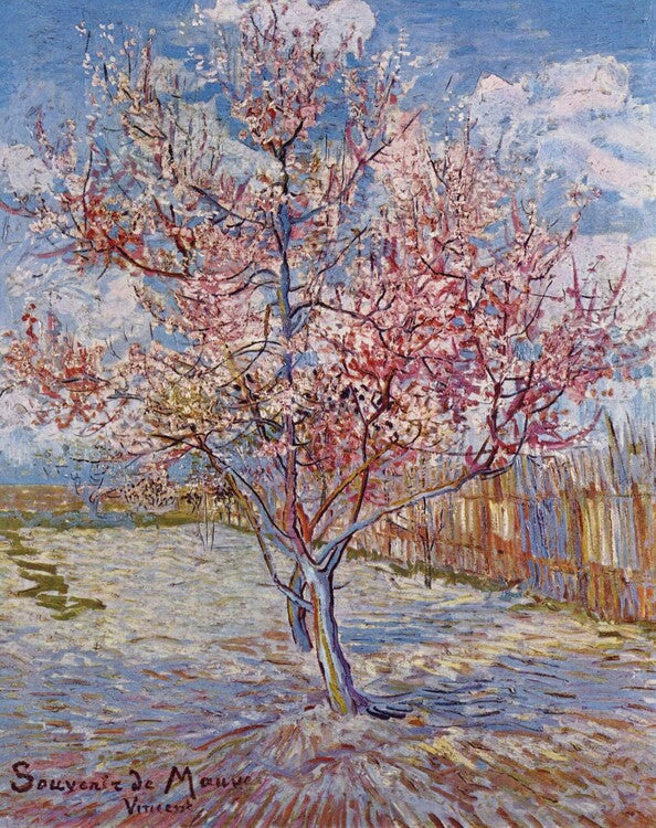Souvenir de Mauve (1888), Vincent van Gogh Poster, Plakat, 30 × 40 cm