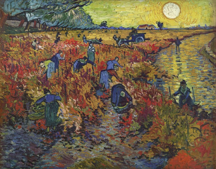 Red Vineyards at Arles, 1888, Vincent van Gogh Poster, Plakat, 40 × 30 cm