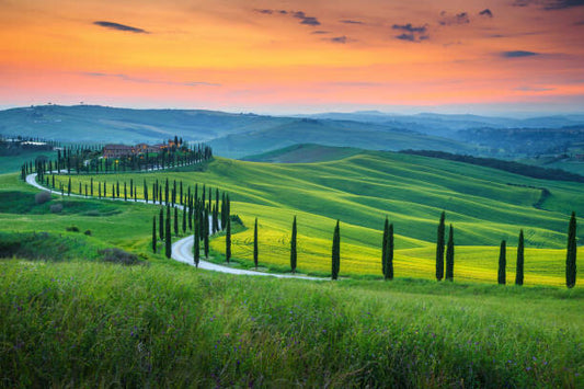 Leinwand Poster, Bilder Famous Tuscany landscape with curved road, Janoka82, 90 × 60 cm