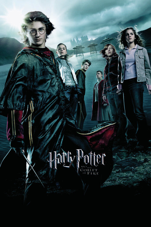 Harry Potter and the Goblet of Fire Poster, Plakat, 61 × 91.5 cm