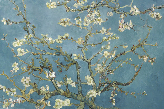 Mandelblüten, Vincent van Gogh Poster, Plakat, 91.5 × 61 cm